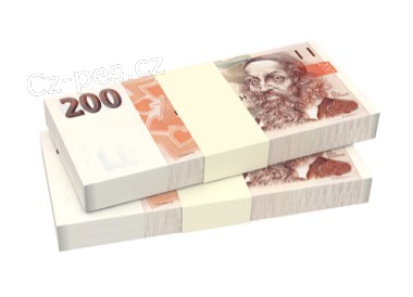 Rychl� a urgentn� p�j�ka do 24 hodin