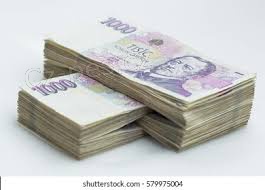 Nab�dka p�j�ky se spokojenost� 48h