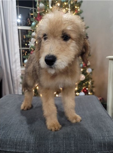 �t��ata erdelteri�ra