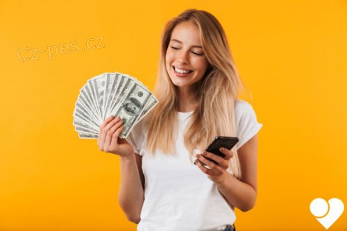 Okam�it� �v�rov� p�j�ky a financov�n�.