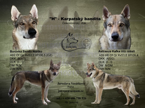 �eskoslovensk� vl��k s PP.