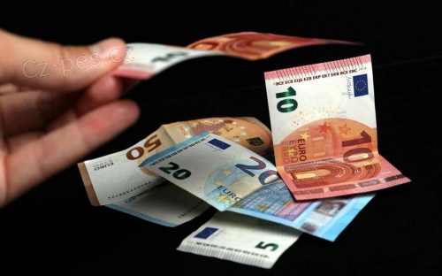 Nab�dka p�j�ky.