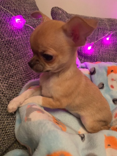 muzy o zeny �t��ata civava zoufale tou�� po nov�ch rodi��ch