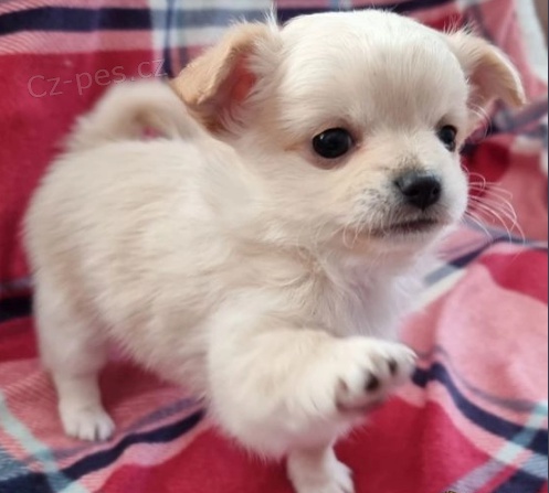 N�dhern� �t��ata �ivava