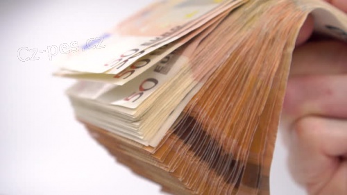 Nab�dka p�j�ky do 24 hodin.