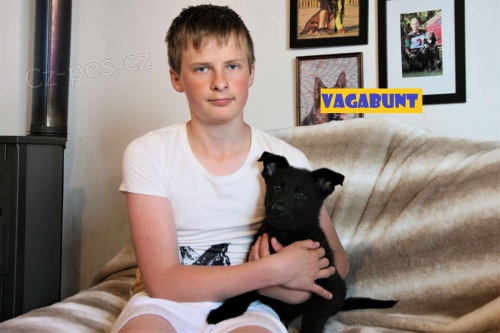 N�meck� ov��k s PP