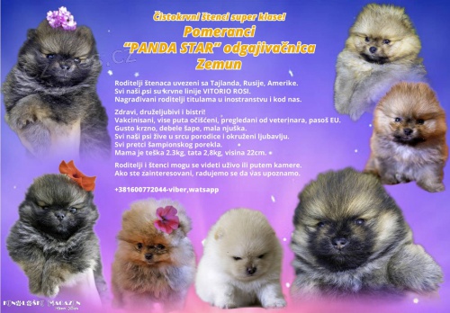 Pomo�ansk� �pic �t��ata