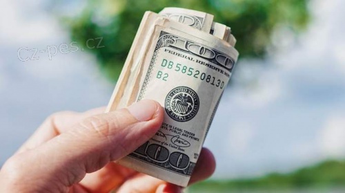 Rychl� a urgentn� p�j�ka do 24 hodin