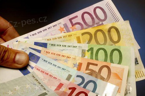 Nab�z�me p�j�ky do 24 hodin: marcela.krejsova01@gmail.com.