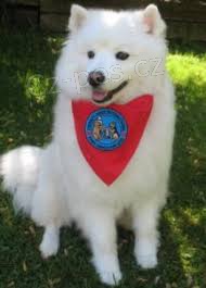 Kanadsk� eskym�ck� �t��ata