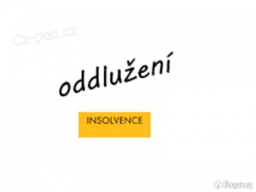 HLED�TE LEG�LN� NEBANKOVN� P�J�KU?