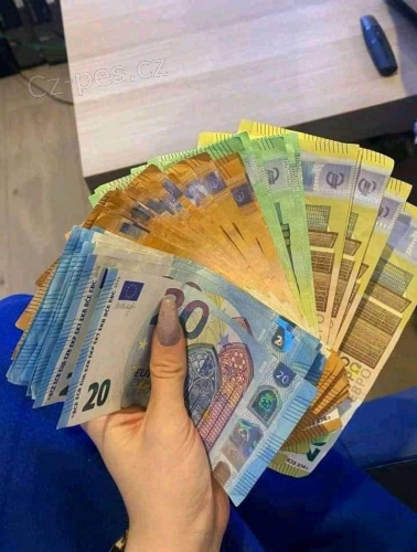 Rychl� a spolehliv� nab�dka p�j�ky