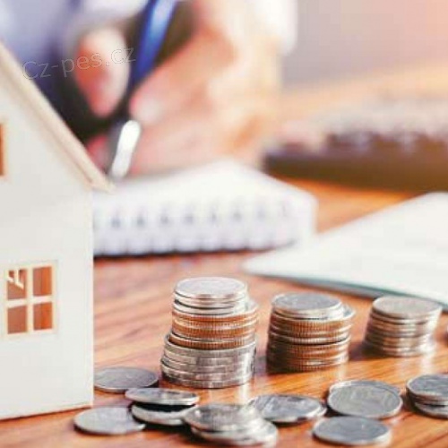 Investice a p�j�ky jednotlivc�m a firm�m.