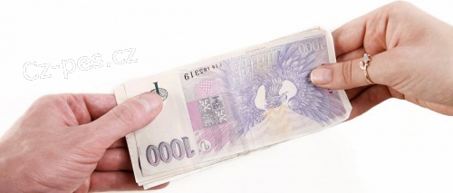 RYCHL� �V�ROV� NAB�DKY VE 24 HODIN�CH