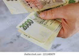 Nab�dka rychl� finan�n� p�j�ky