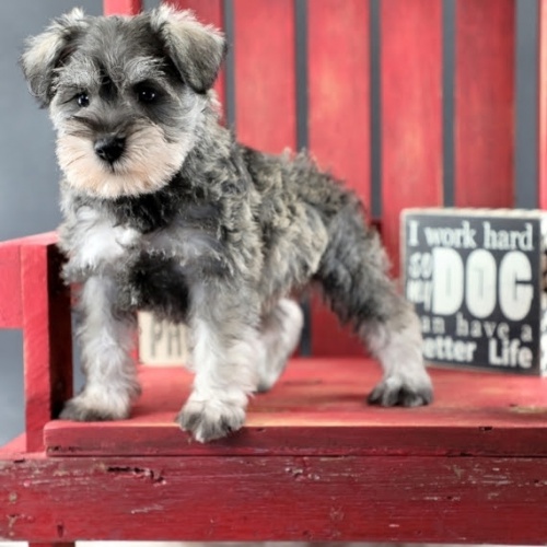 Prod�m �t��ata mal�ch kn�ra�� a fenek.