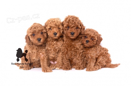 Miniaturn� pudl �t��ata