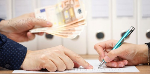 Nab�dka p�j�ky se 100% jistotou