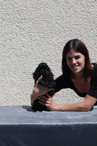 Ameri�t� kokr�pan�l� 