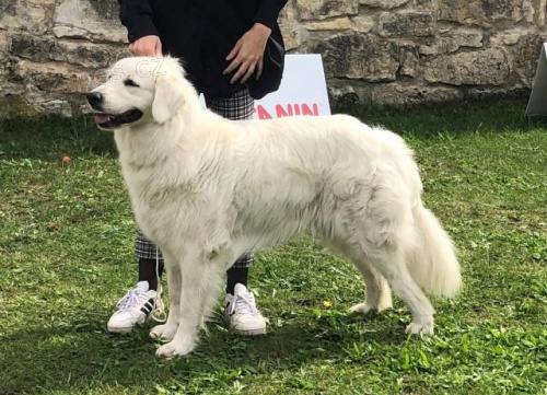 Slovensk� �uva� s PP