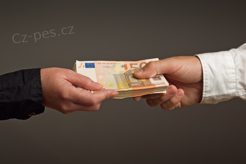 Hled�te financov�n�?  Pot�ebujete nutn� p�j�ku