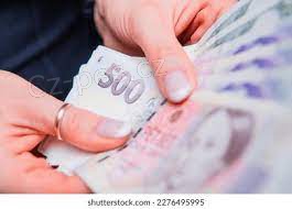 Okam�it� �v�rov� p�j�ky a financov�n�.