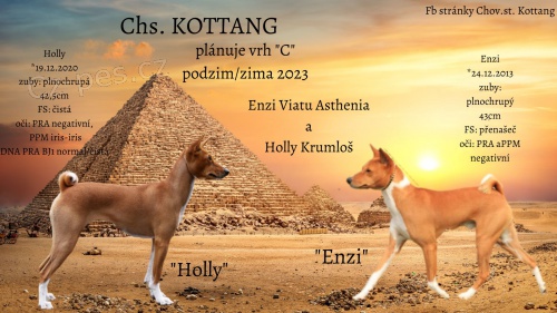 P�ij�m�me rezervace na basenji �t���tka podzim/zima 2023