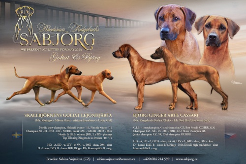 Rhod�sk� ridgeback - �t���tka s PP prod�m