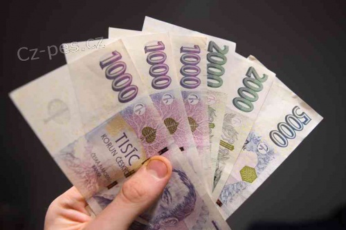 Nab�dka bezplatn�ch a n�zk�ch financ�