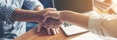 Spolehliv� nab�dka p�j�ky bez podvodu