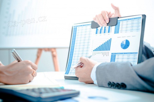 �e�en� p�j�ky bez podvodu