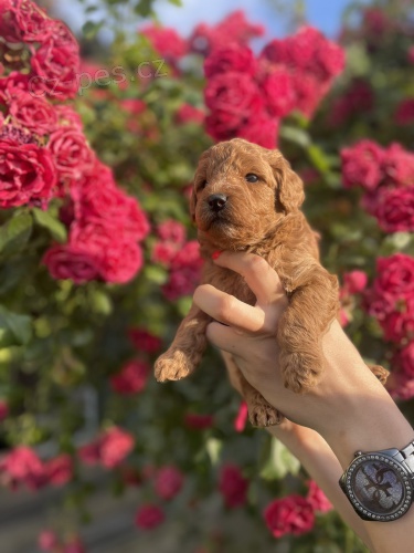 Miniaturn� pudl �t��ata