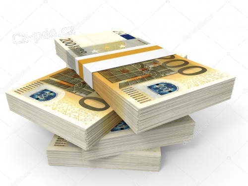 Rychl� a rychl� p�j�ka a investice