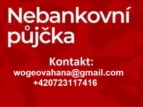 Rychl� a rychl� p�j�ka a investice