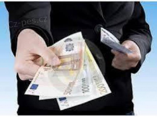   Pot�ebujete nal�havou p�j�ku od skute�n�ho solidn�ho investora?