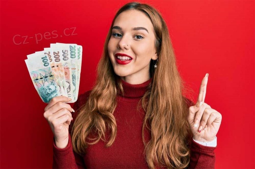  Nab�dka p�j�ek mezi jednotlivci