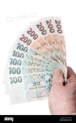 P�j�ky a okam�it� financov�n�