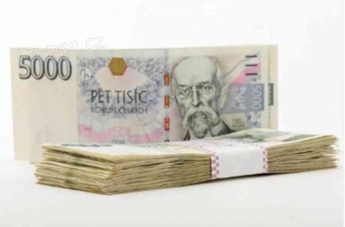 NAB�DKA SLU�BY P�J�KY 24 HODIN