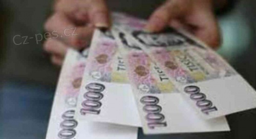 Nab�dka p�j�ky snadno pro v�echny