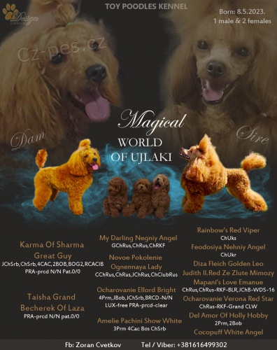 Toy pudl �t��ata