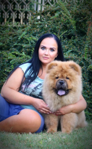 �au �au �t��ata na prodej