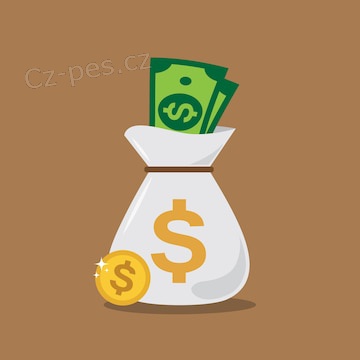 Soukrom� investor, kter� p�j�� opravdu ka�d�mu