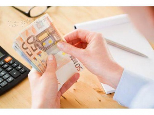 Obchodn� n�vrh (�v�r)/investice