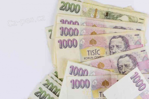 NAB�DKA PEVN�CH P�J�EK V�EM