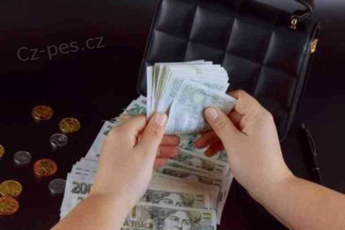    KREDIT K DISPOZICI OD 25 000 K� do 85 000 000 K�