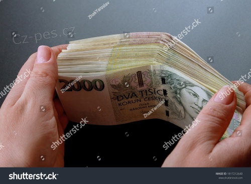   Velmi dobr� a snadn� financn� slu�ba.