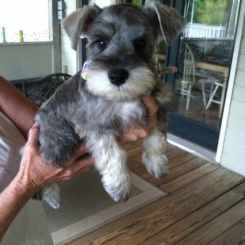 Prod�m �t��ata mal�ho kn�ra�e.