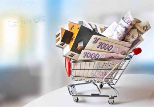   FINANCOV�N� �V�ROV� SPOLE�NOSTI A FINANCOV�N� V �ESK� REPUBLICE.