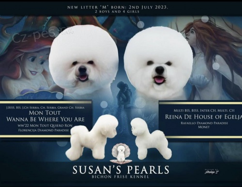 Bi�onek �t�n�