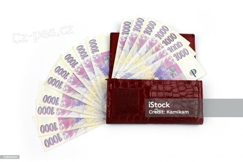 Rychl� a rychl� p�j�ka a investice